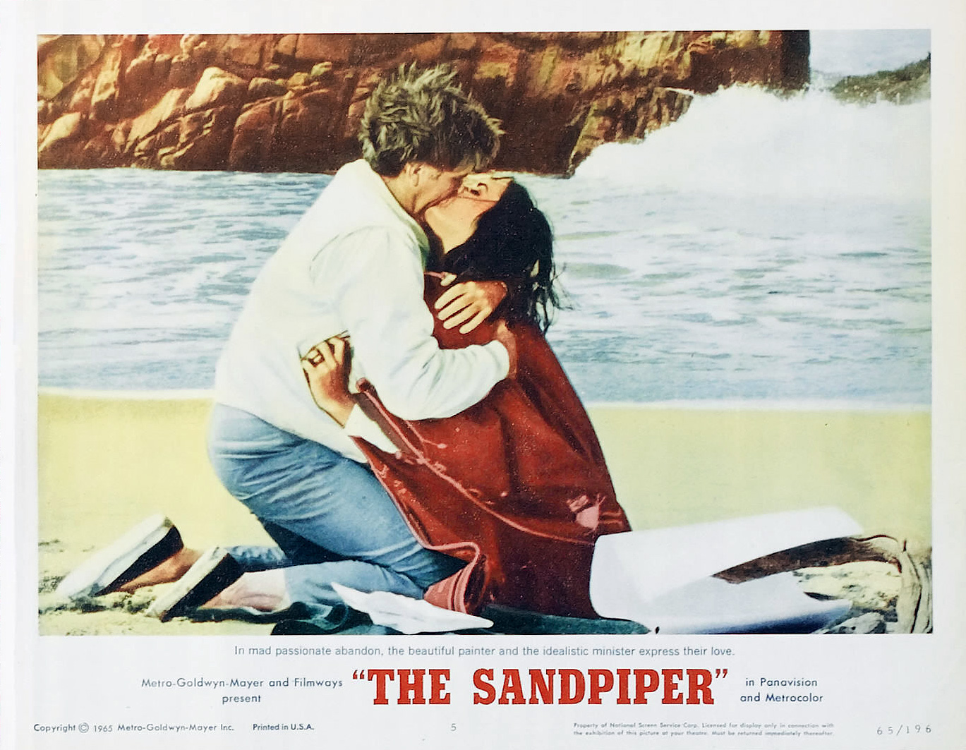 Sandpiper The